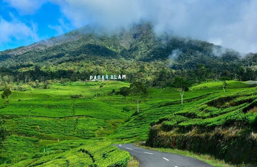 Travel Palembang Pagar Alam