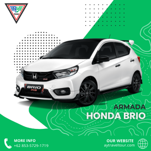 aytravel_brio