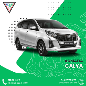 aytravel_calya
