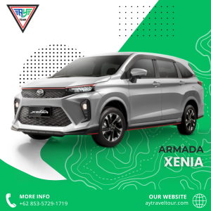 aytravel_xenia